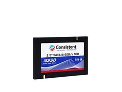 Solid State Drive (SSD) NOU 256GB SATA 6.0Gb/s, Consistent CTSSD256S6